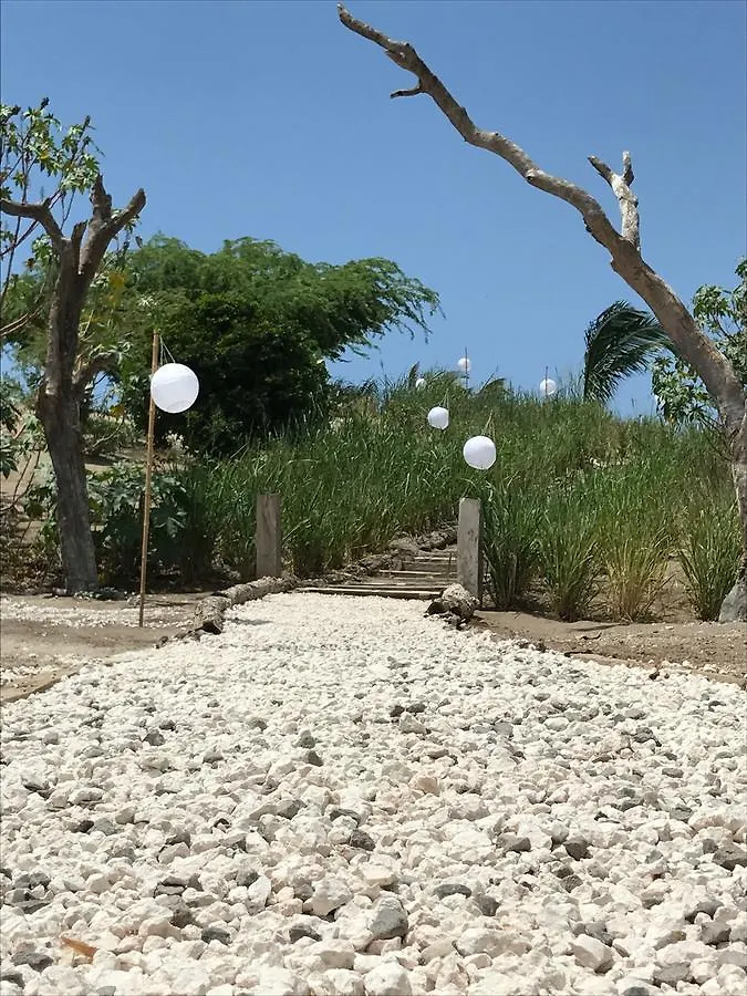 77 West Boutique Hotel Treasure Beach